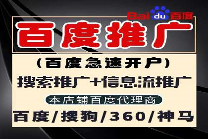 某SEM主管的跨平台广告投放策略与成果